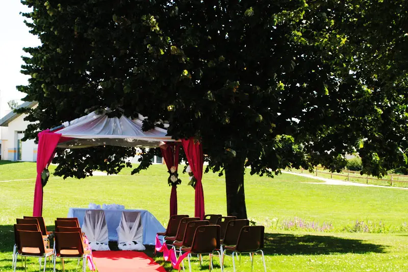 Gentleman Animateur Disc Jockey — photo 5