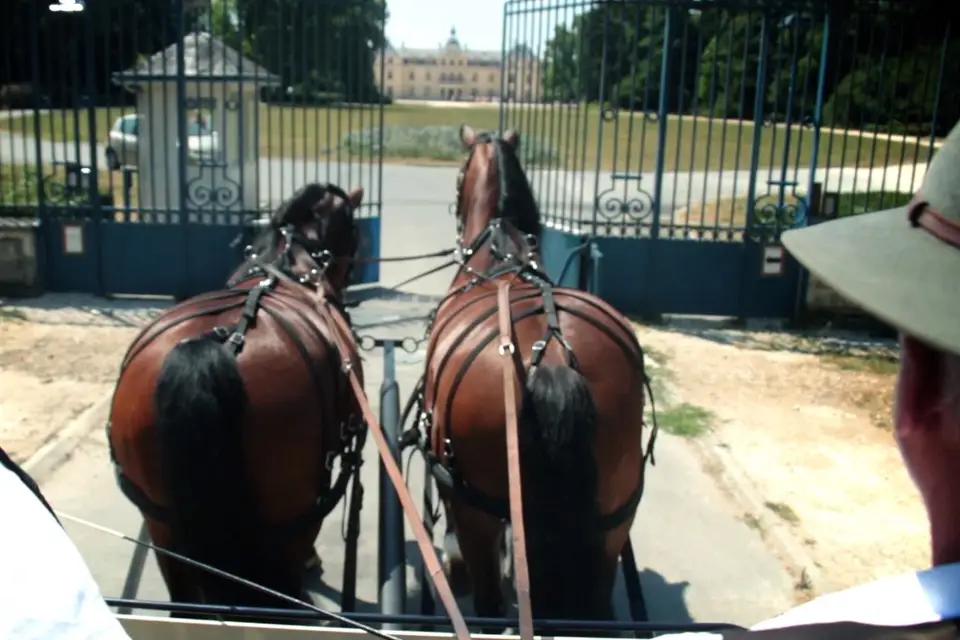 23k production — photo 6