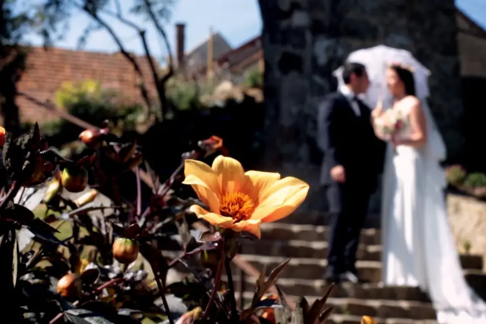 23k production — photo 1