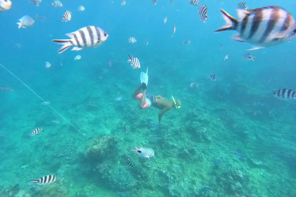 Cap sur Paradis Destination Maurice — photo 3