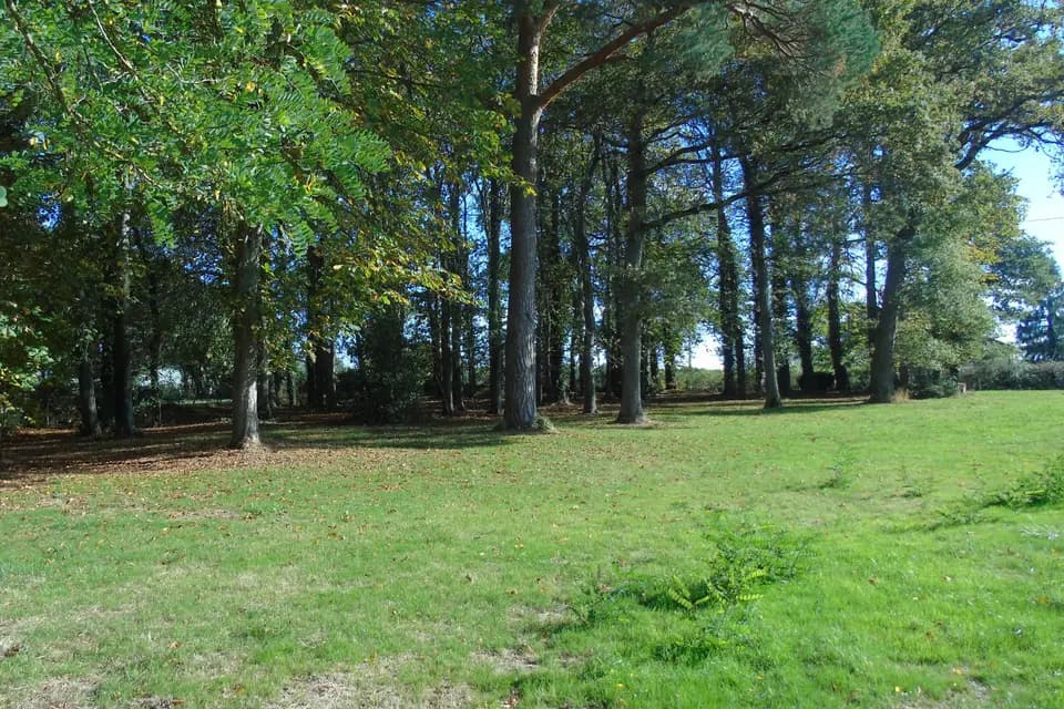 MFR Limoise — photo 6