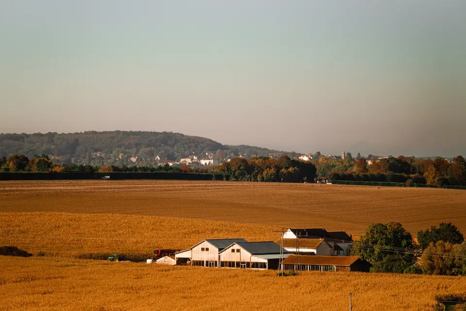 Ferme de la Faisanderie — photo 5
