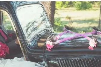 De fleurs en fleurs — photo 7