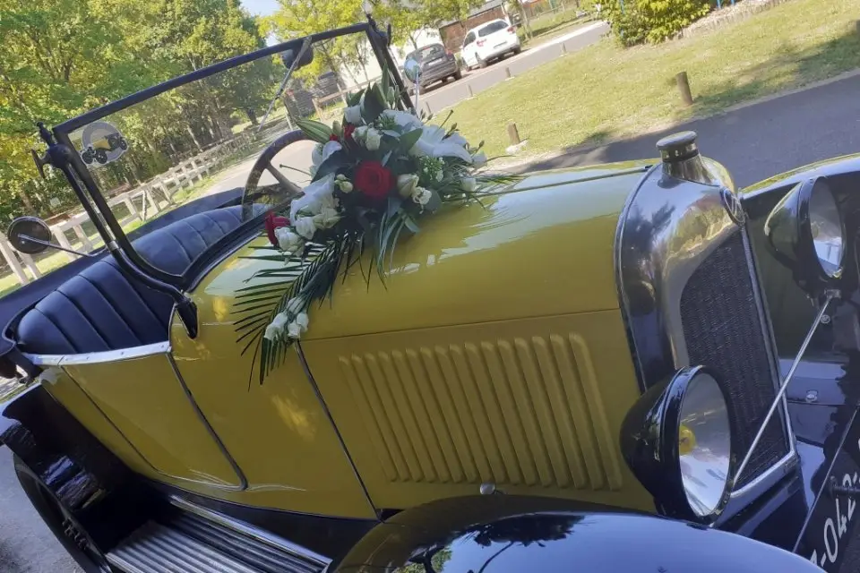 Les Petits Poussets — photo 6