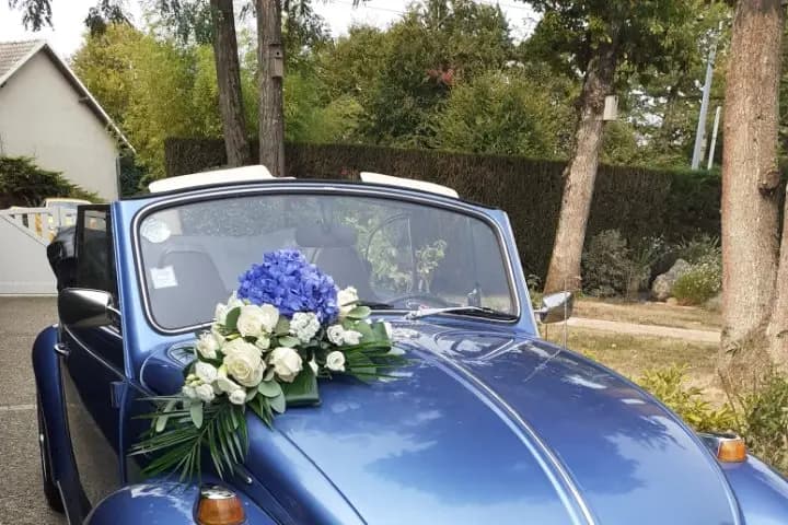 Les Petits Poussets — photo 1