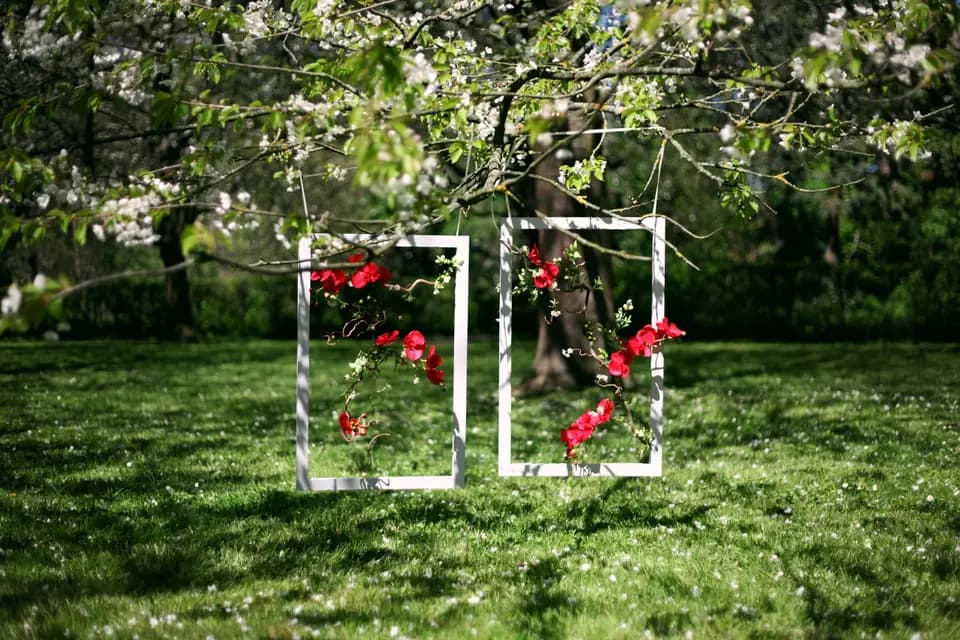 Les Un'Spirées — photo 8