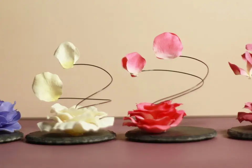 Les Un'Spirées — photo 2