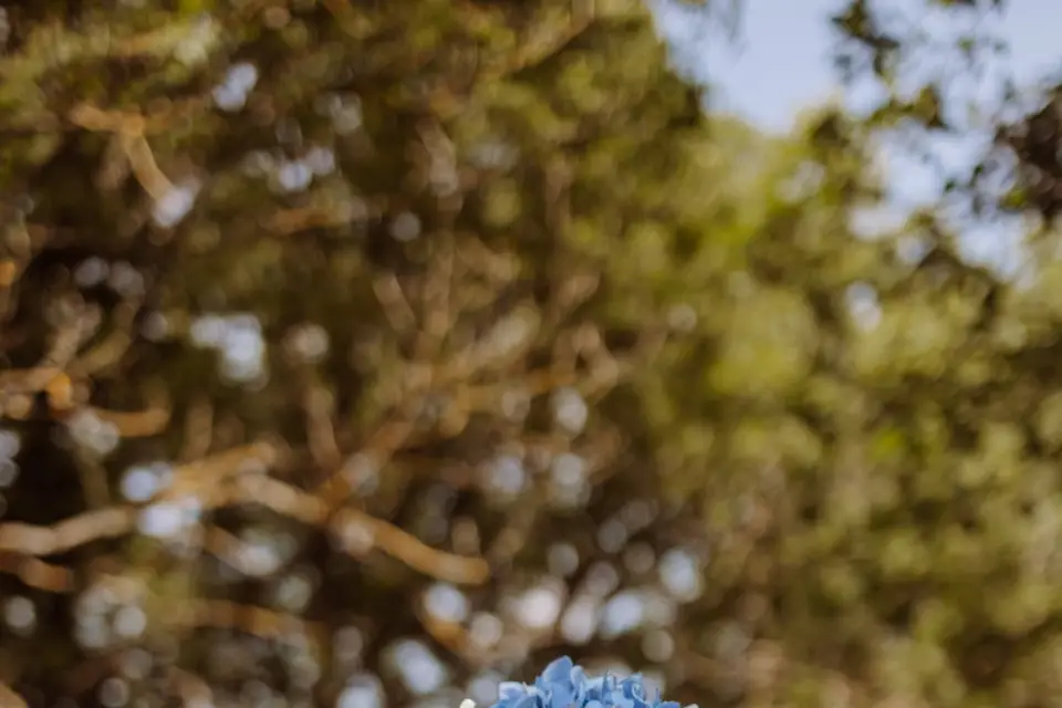 Émilie Berger — photo 5