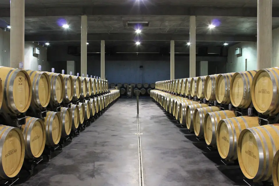 Château Les Amoureuses — photo 2