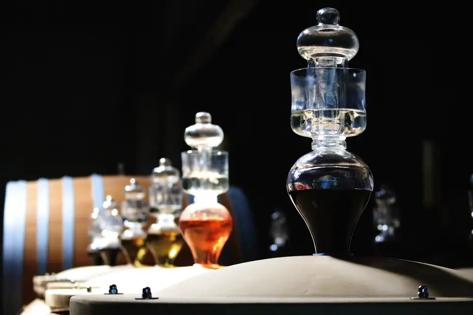 Château Les Amoureuses — photo 5