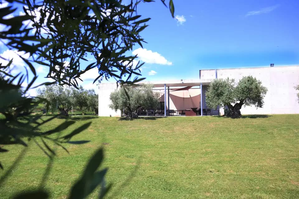 Château Les Amoureuses — photo 7