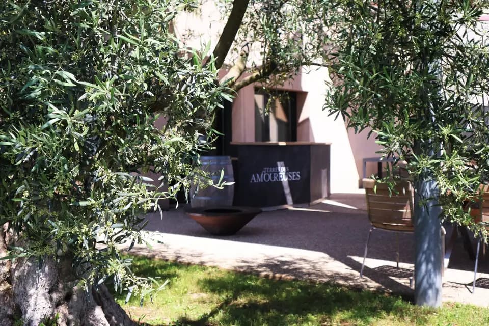 Château Les Amoureuses — photo 8