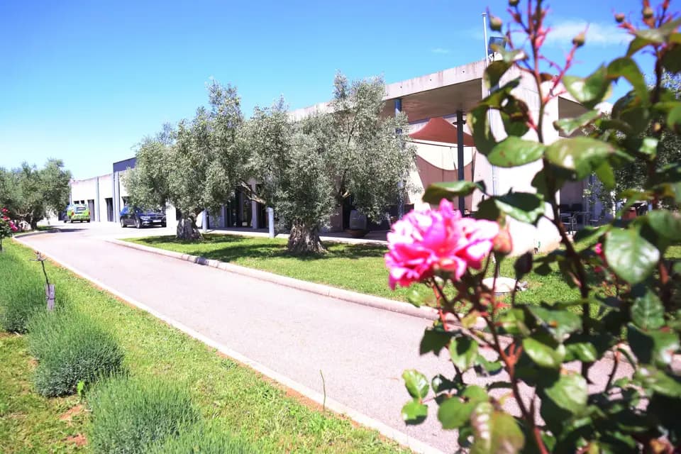 Château Les Amoureuses — photo 6