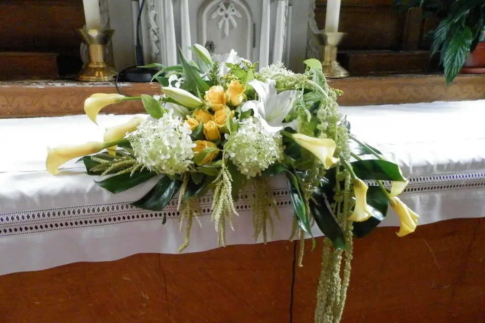 Passion Fleurs — photo 7