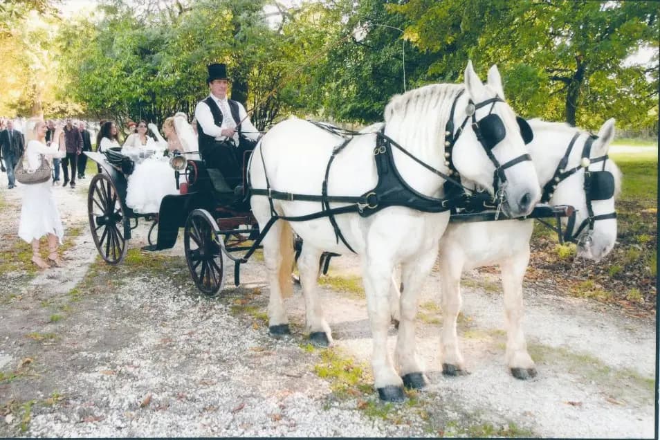 Paturo'Events — photo 2