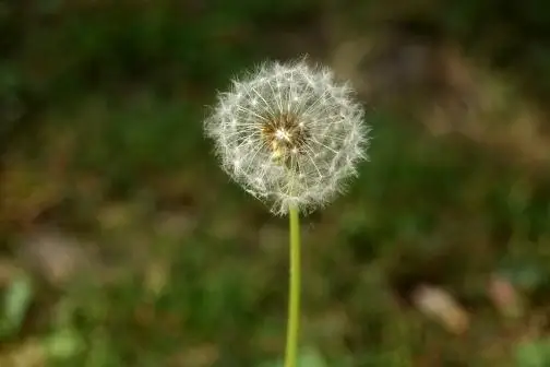 DSlivephotos — photo 1