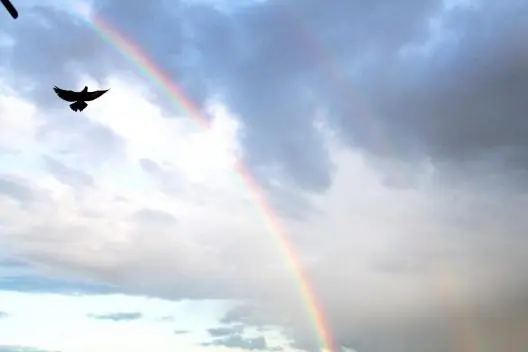 DSlivephotos — photo 4