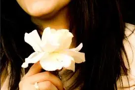 DSlivephotos — photo 5