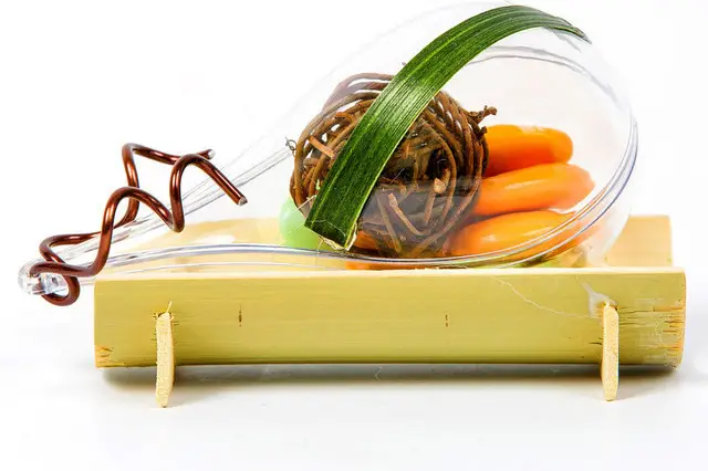 Les Dragées Colchiques — photo 4