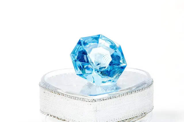 Les Dragées Colchiques — photo 3