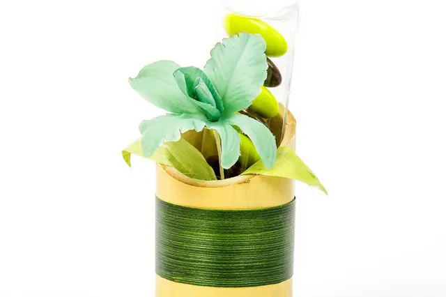 Les Dragées Colchiques — photo 7