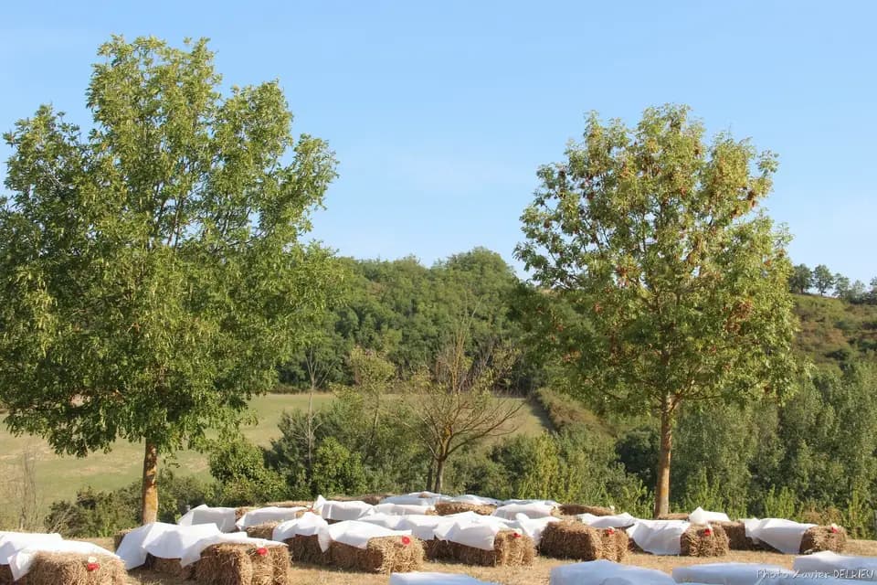 Domaine de Montagnac — photo 5