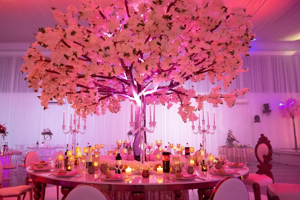 Histoire Eternelle — photo 9