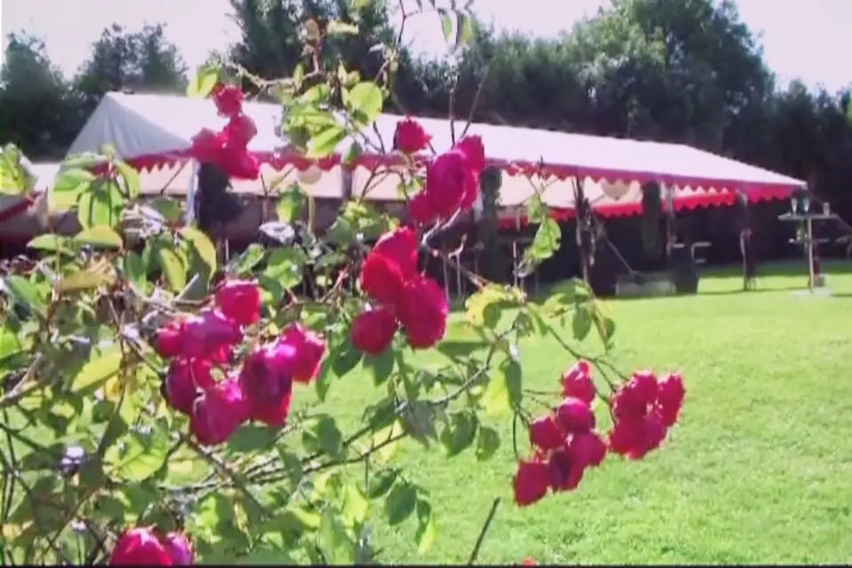 F2R Prod — photo 3