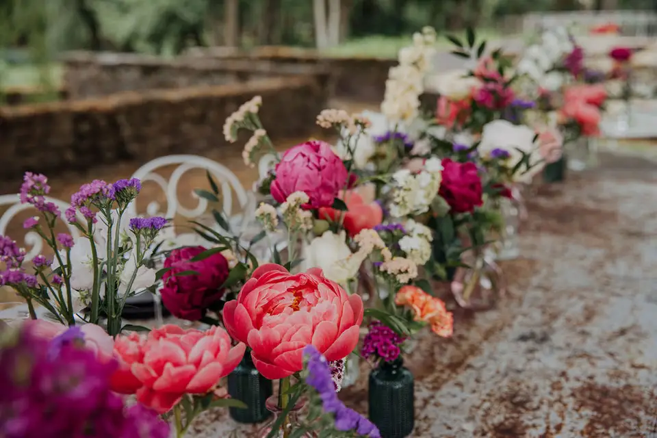 Fragments de Jardins — photo 5