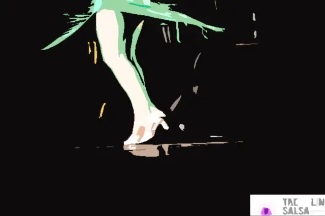 Caraïbes Art Danse — photo 1