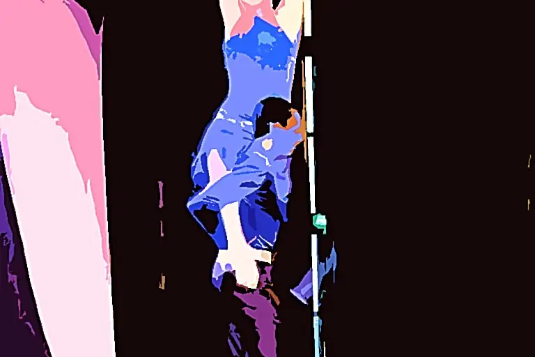 Caraïbes Art Danse — photo 4