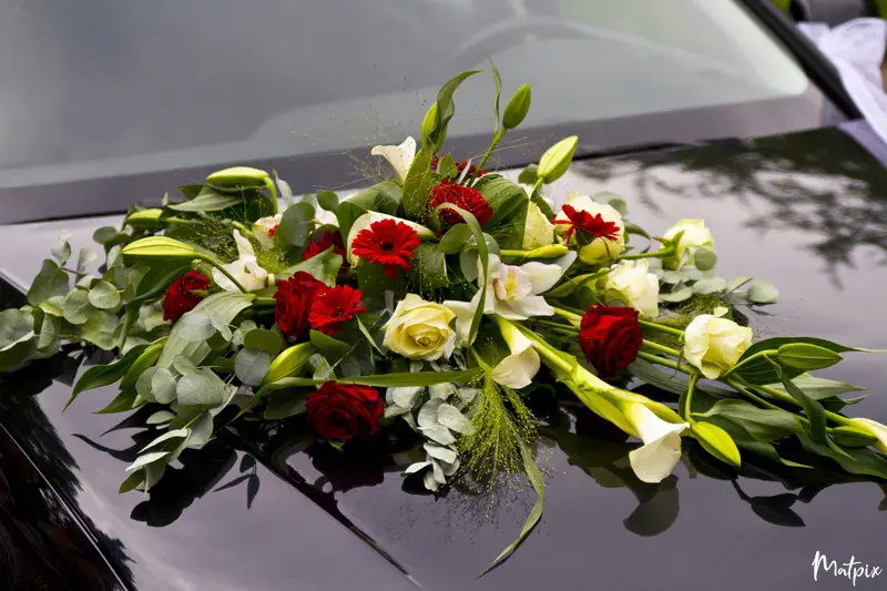 Matpix Studio — photo 2