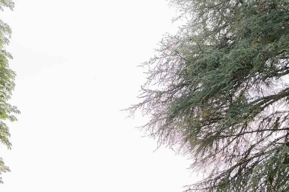 Comptoir des Noces — photo 2