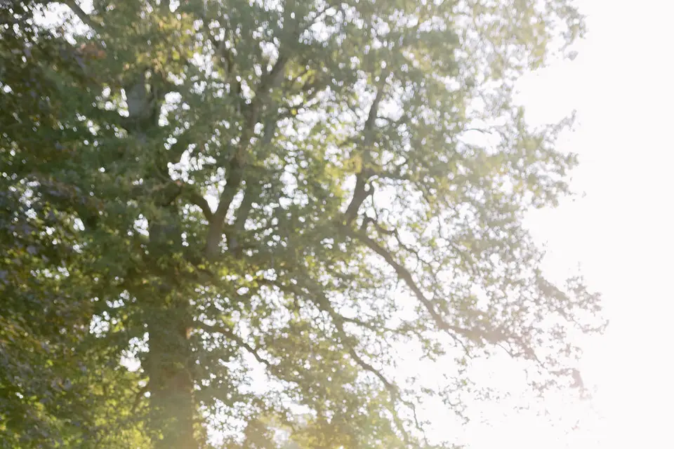 Comptoir des Noces — photo 3