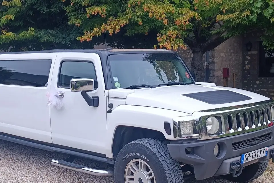 Majestic Limousine — photo 8