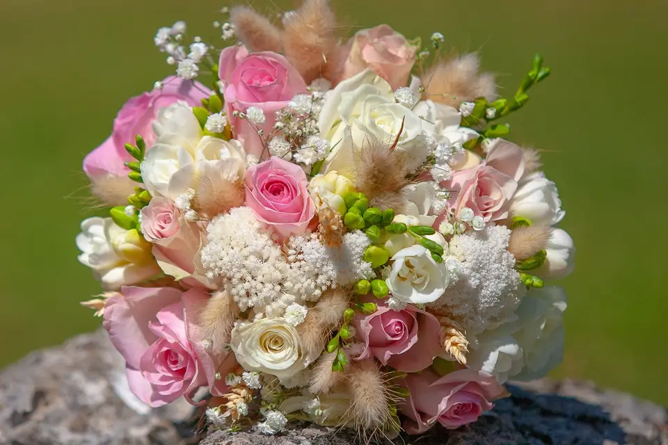 Bellet Sébastien Photographie — photo 4