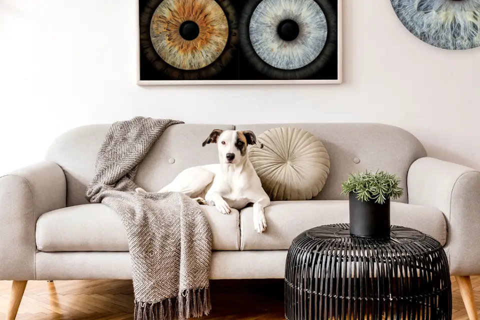 Iris Photo Art — photo 3