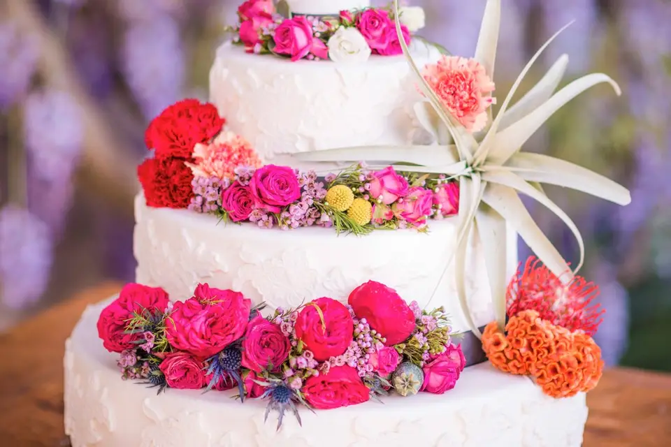 Cevennfly — photo 6