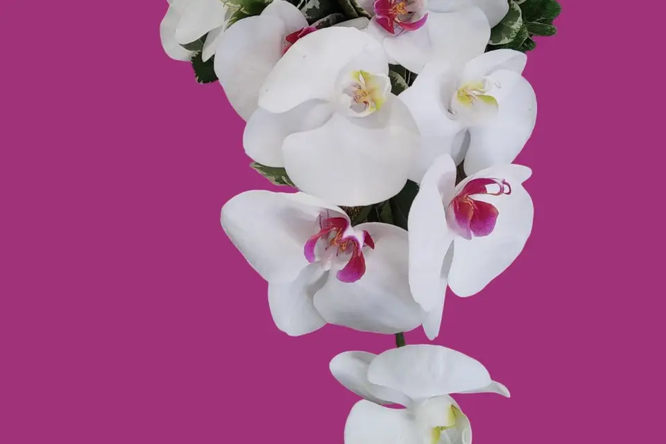 Le Bouchon Fleuri — photo 8