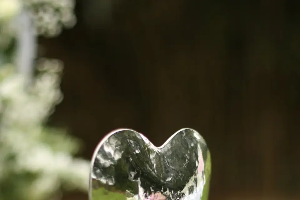 De rêve et d'amour — photo 6