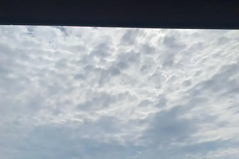 Jdaycoach — photo 1