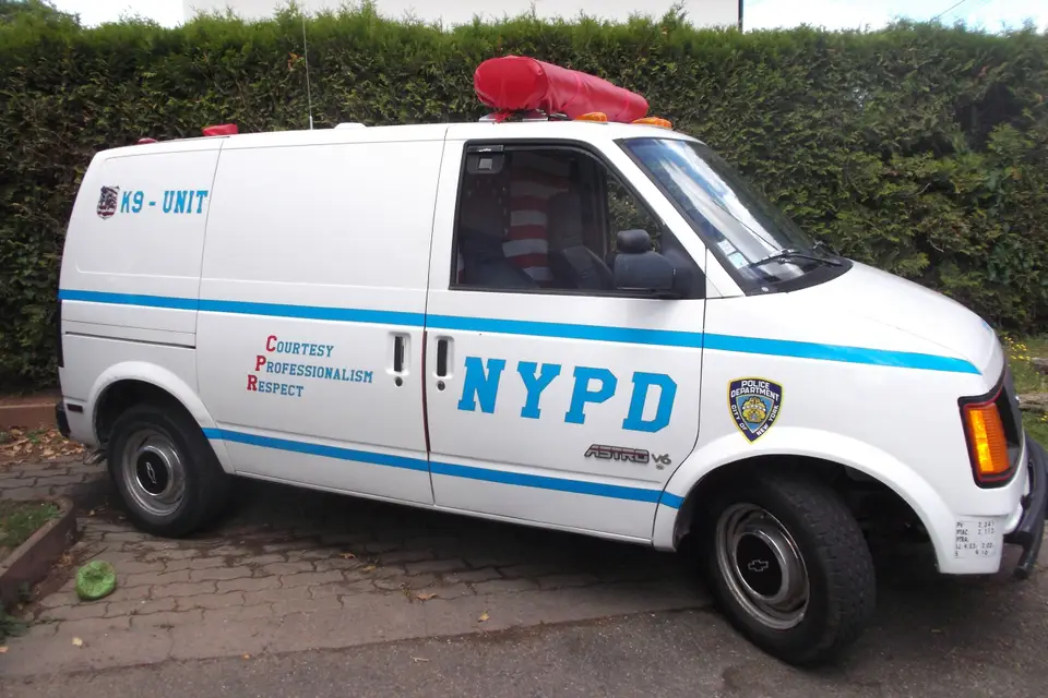 SL Limousine — photo 8