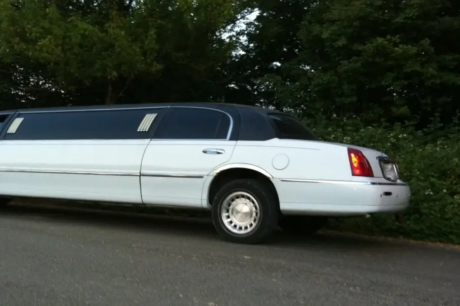 SL Limousine — photo 3