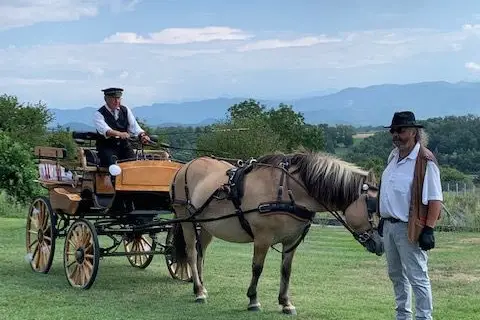 Caleches et Roulottes des Pyrénées — photo 3