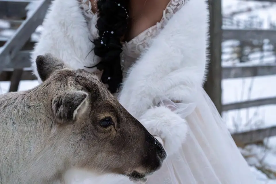 Boukup Make Up Artist — photo 4