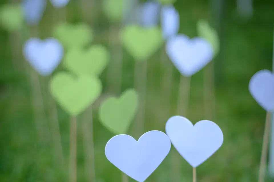 Les Créations d'Aimée — photo 1