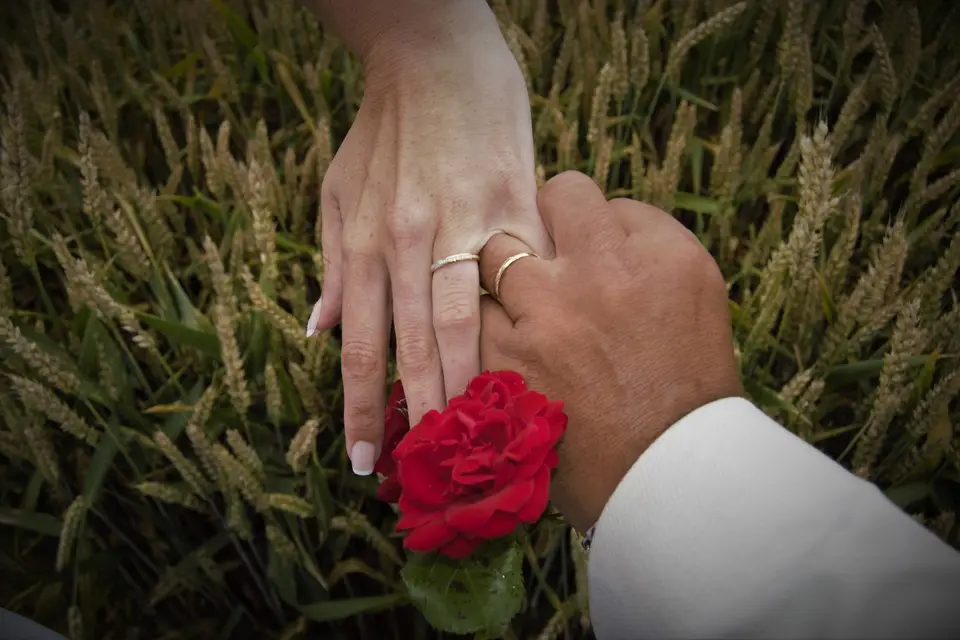 Rom’s Photo — photo 4