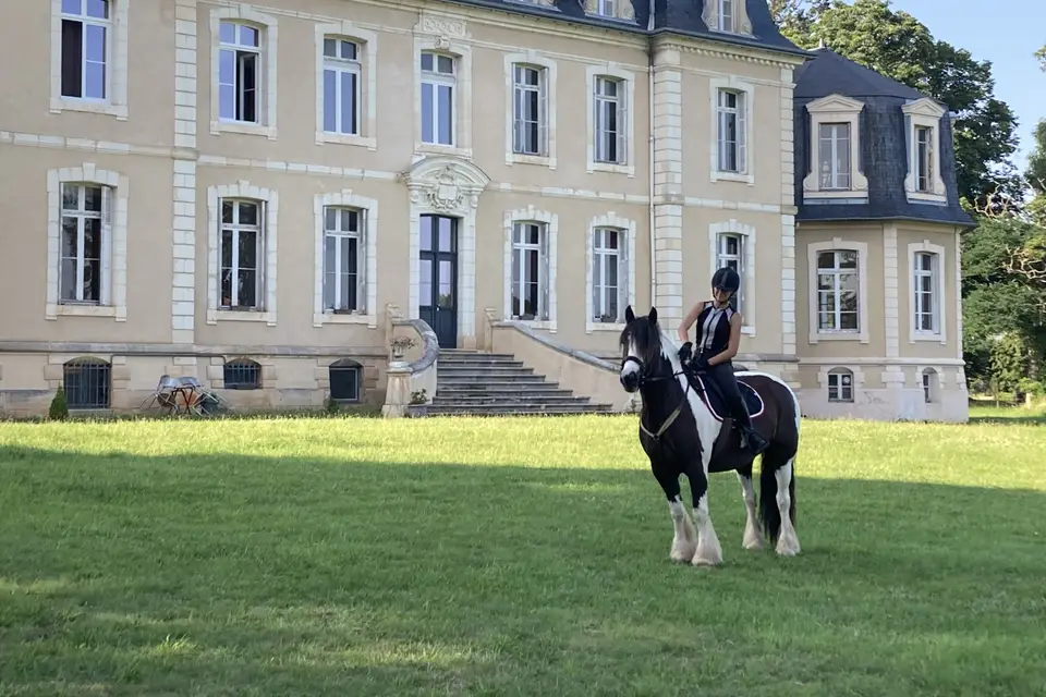 Château de la Bouchatte — photo 4