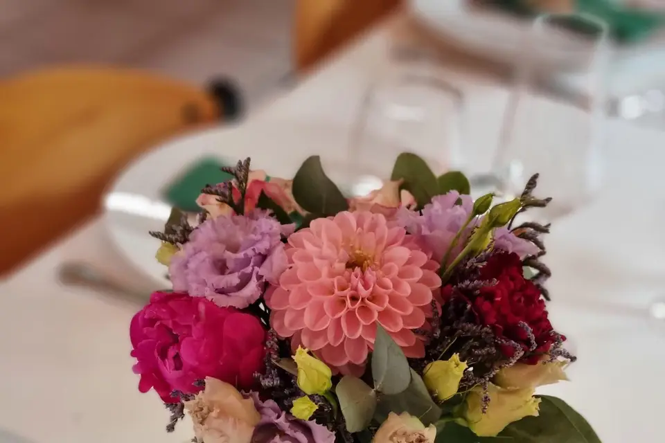 Hellébore — photo 7