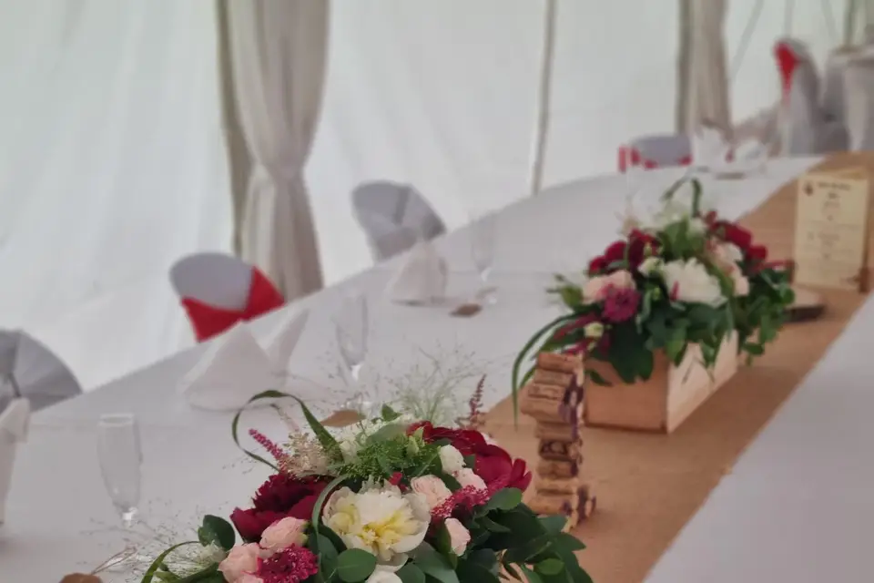 Hellébore — photo 3